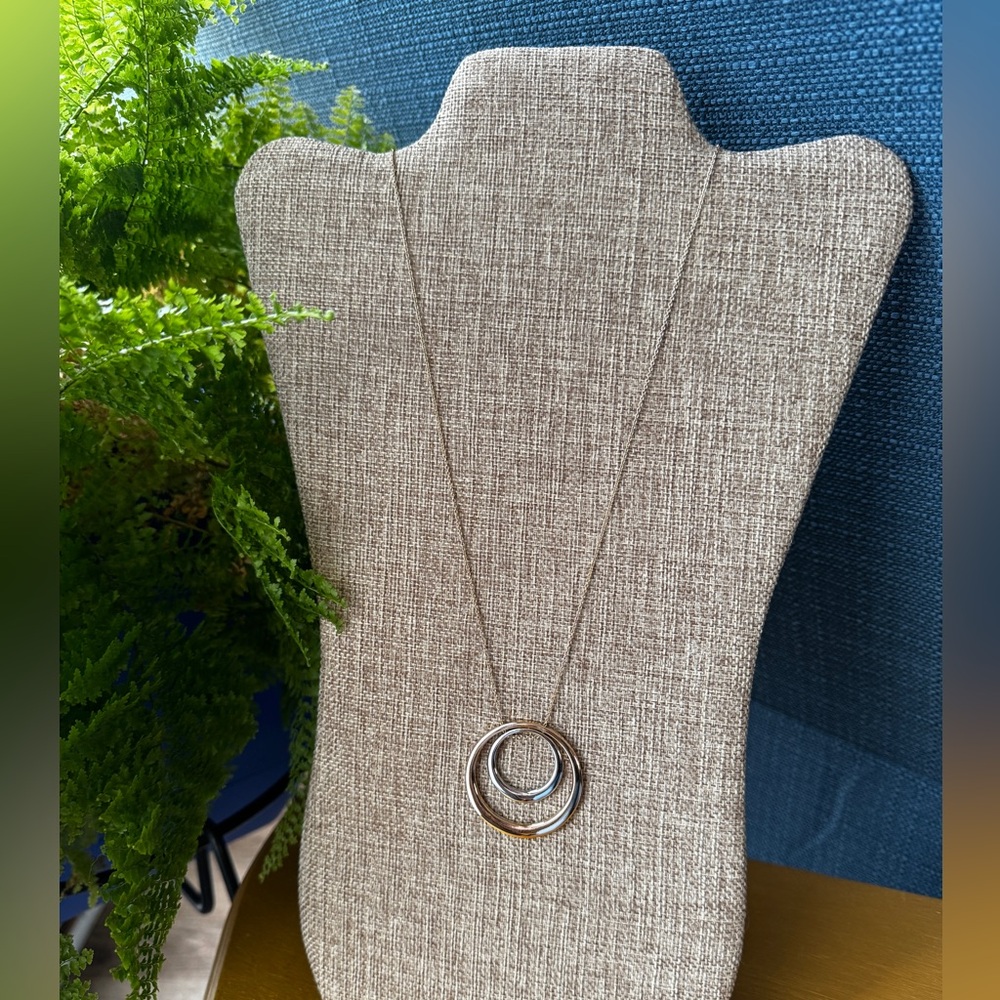 Elegant Silver and Gold Necklace with Interlocking Circles